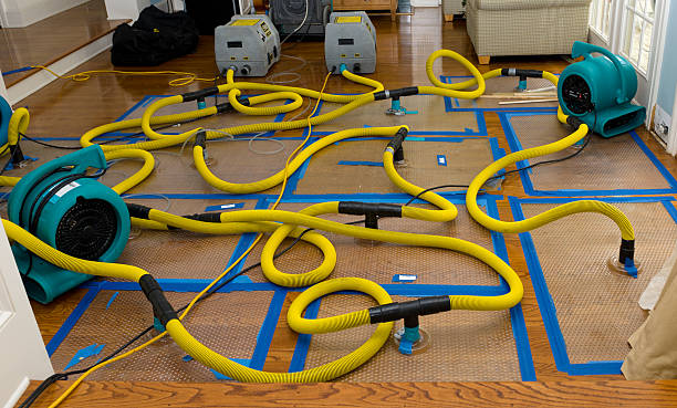 Professional Structural Drying And Dehumidification technician working in Seabrook, MD